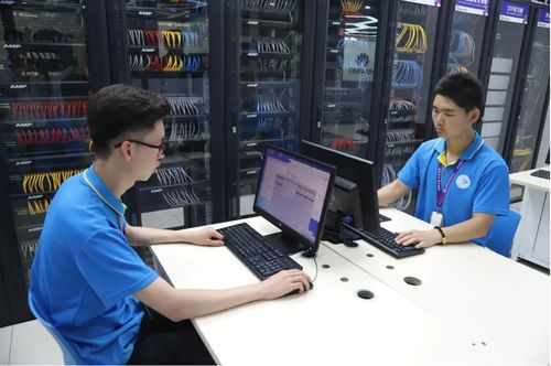 計算機專業還能報考嗎？從985軟件學院低就業率看行業現狀與理性選擇