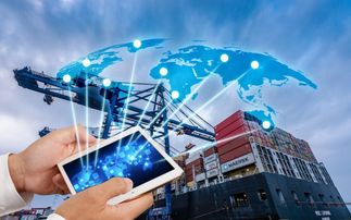 進(jìn)口日用品關(guān)稅調(diào)整下的通關(guān)便利化 海關(guān)編碼查詢與網(wǎng)絡(luò)技術(shù)咨詢服務(wù)